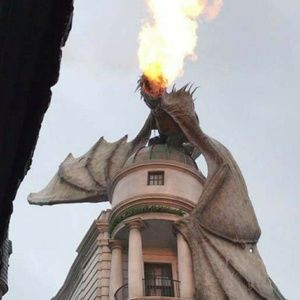 Meet your Posher, Camille